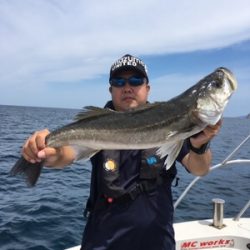 シーモンキー 釣果