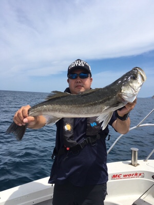 シーモンキー 釣果