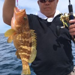 シーモンキー 釣果