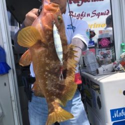 シーモンキー 釣果