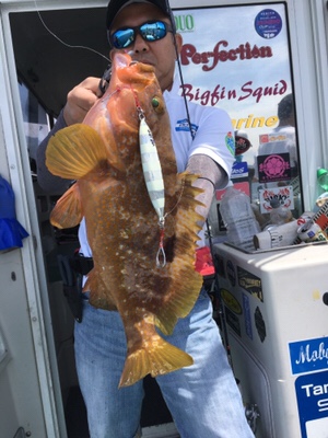 シーモンキー 釣果