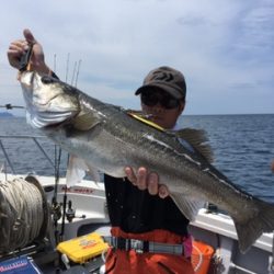 シーモンキー 釣果