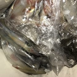 寿裕 （YOSHIHIRO） 釣果