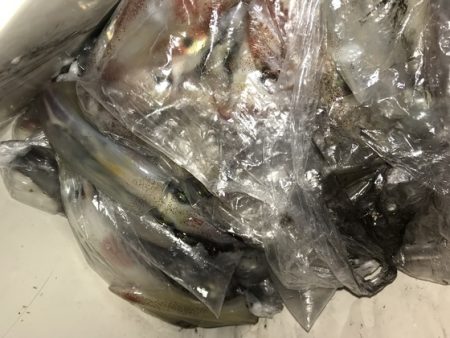 寿裕 （YOSHIHIRO） 釣果