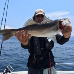 シーモンキー 釣果