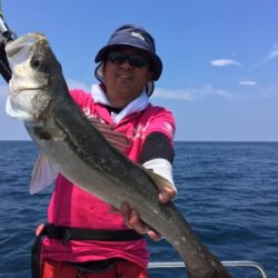 シーモンキー 釣果