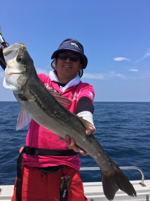 シーモンキー 釣果