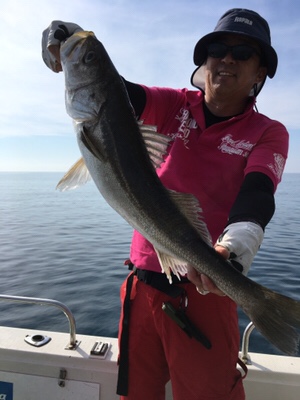 シーモンキー 釣果