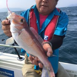 シーモンキー 釣果