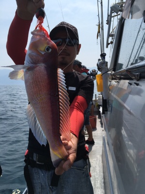 シーモンキー 釣果