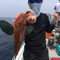 シーモンキー 釣果