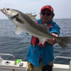 シーモンキー 釣果