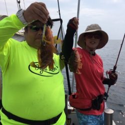 シーモンキー 釣果