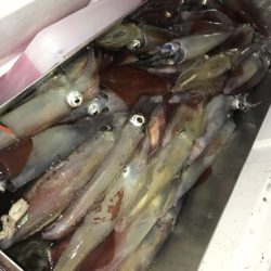 寿裕 （YOSHIHIRO） 釣果