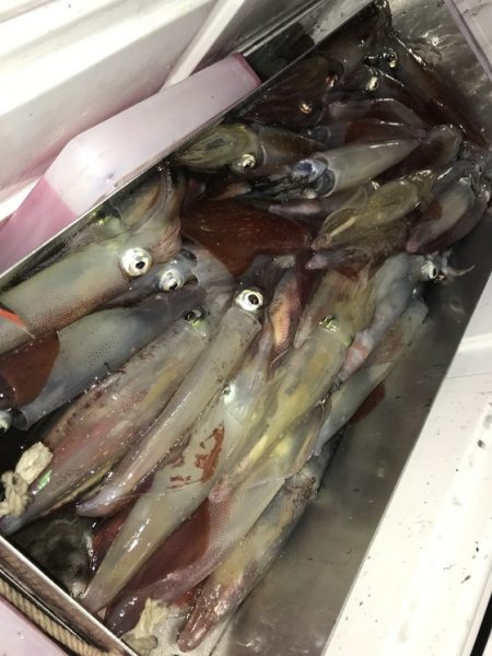 寿裕 （YOSHIHIRO） 釣果