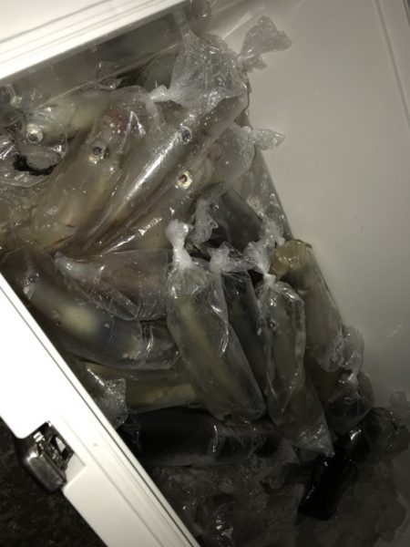 寿裕 （YOSHIHIRO） 釣果