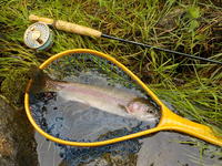 秩父フライフィールド 釣果