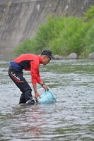 秩父フライフィールド 釣果