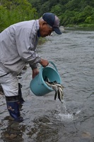 秩父フライフィールド 釣果