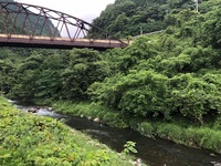 秩父フライフィールド 釣果