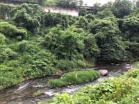 秩父フライフィールド 釣果