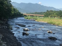 秩父フライフィールド 釣果