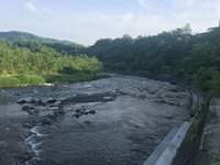 秩父フライフィールド 釣果
