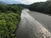 秩父フライフィールド 釣果