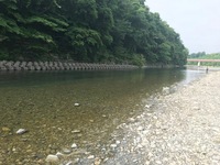 秩父フライフィールド 釣果