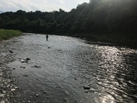 秩父フライフィールド 釣果