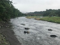 秩父フライフィールド 釣果