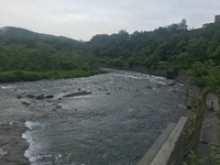 秩父フライフィールド 釣果