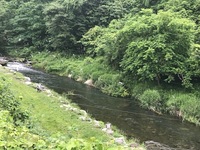 秩父フライフィールド 釣果