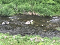 秩父フライフィールド 釣果