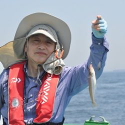根岸丸 釣果
