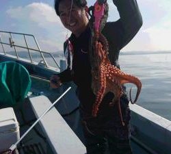 かねい丸 釣果