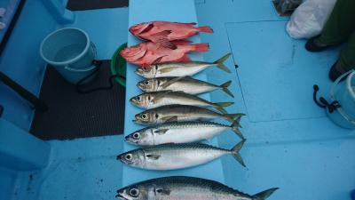 はじめ丸 釣果