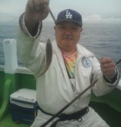 金沢八景鴨下丸 釣果