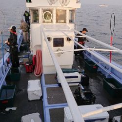 小樽港遊漁船SHAKE 釣果