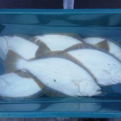 小樽港遊漁船ＳＨＡＫＥ 釣果