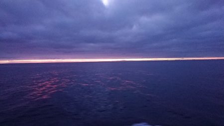 小樽港遊漁船SHAKE 釣果