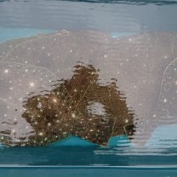 小樽港遊漁船SHAKE 釣果