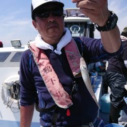 金沢八景鴨下丸 釣果