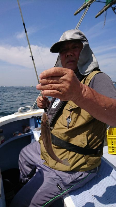 金沢八景鴨下丸 釣果