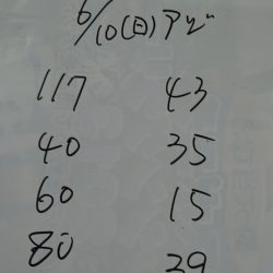 金沢八景鴨下丸 釣果