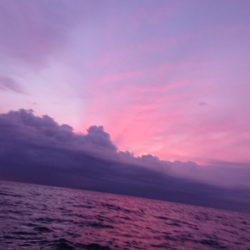 金沢八景鴨下丸 釣果