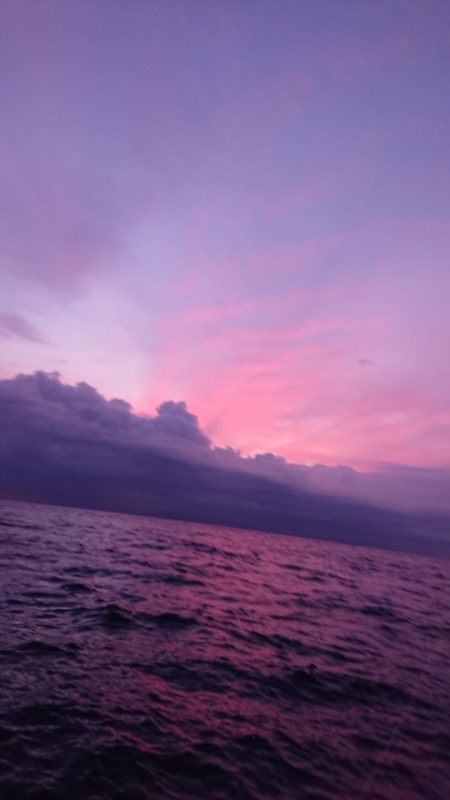 金沢八景鴨下丸 釣果