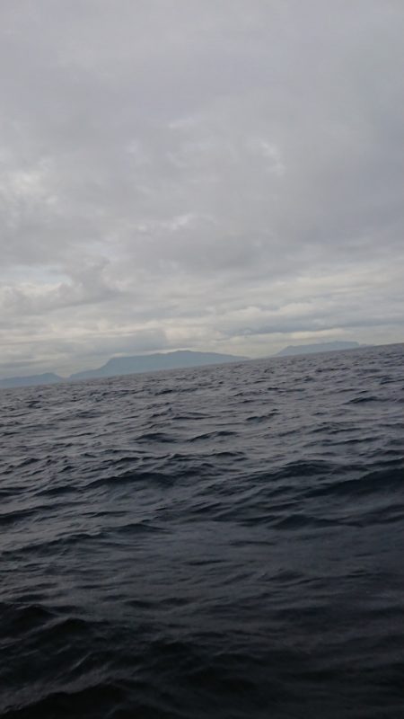 金沢八景鴨下丸 釣果