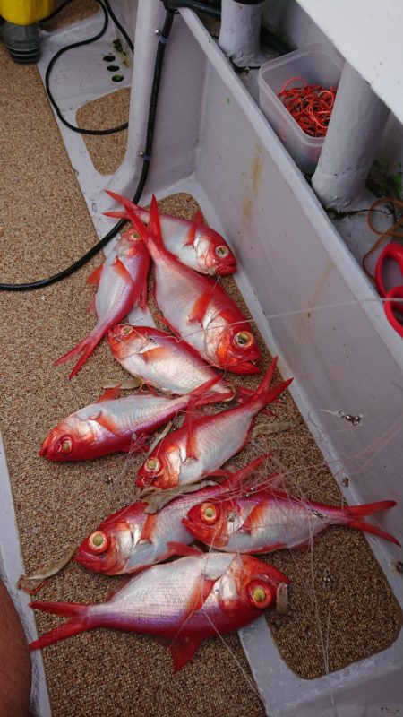 金沢八景鴨下丸 釣果