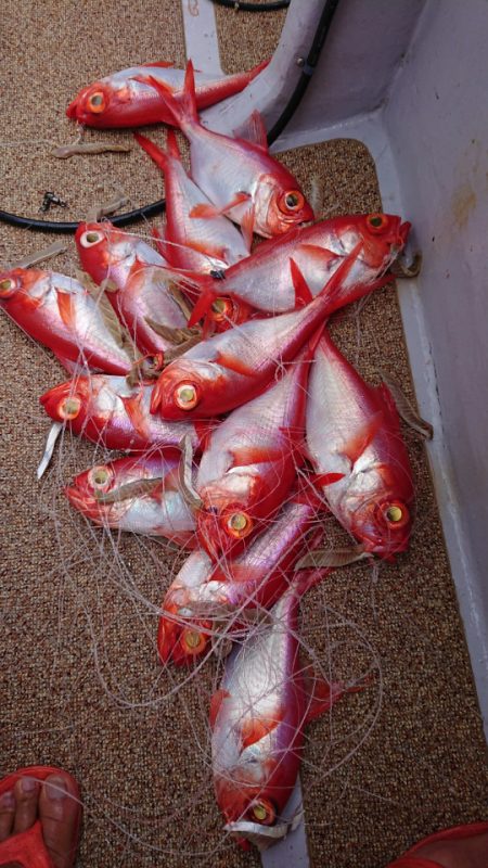 金沢八景鴨下丸 釣果